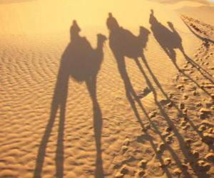 Puzzle Οι τρεις Σοφών ιππασίας καμήλες στην πορεία τους προς τη Βηθλεέμ